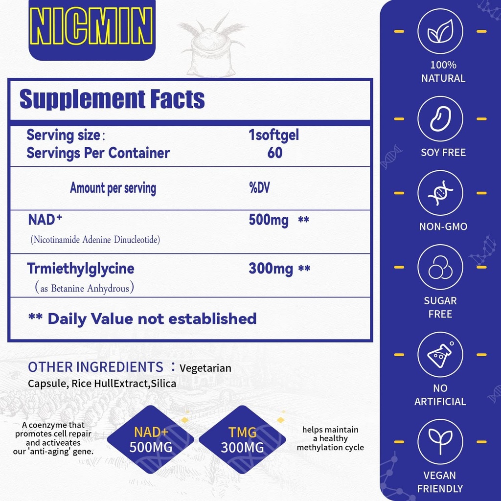 Liposomal NAD + Supplement 800 mg med TMG 300 mg, Max Absorption Actual NAD + Supplement
