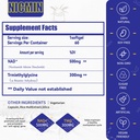 Liposomal NAD + Supplement 800 mg med TMG 300 mg, Max Absorption Actual NAD + Supplement