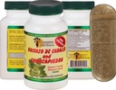 Ren ChanteriCAPIEDRA Sunshine Guisazo de Caballo og Chanca Piedra 90 Caps + POTENTE