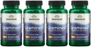 Swanson Maksimum Strength Graminex Flower Pollen Extract - Understøtter Prostate Sundhed, Urinære Tract funktion, og Nyre Sundhed - Herre Health Supplement - (60 kapsler, 500mg Hver) (4 Pack)