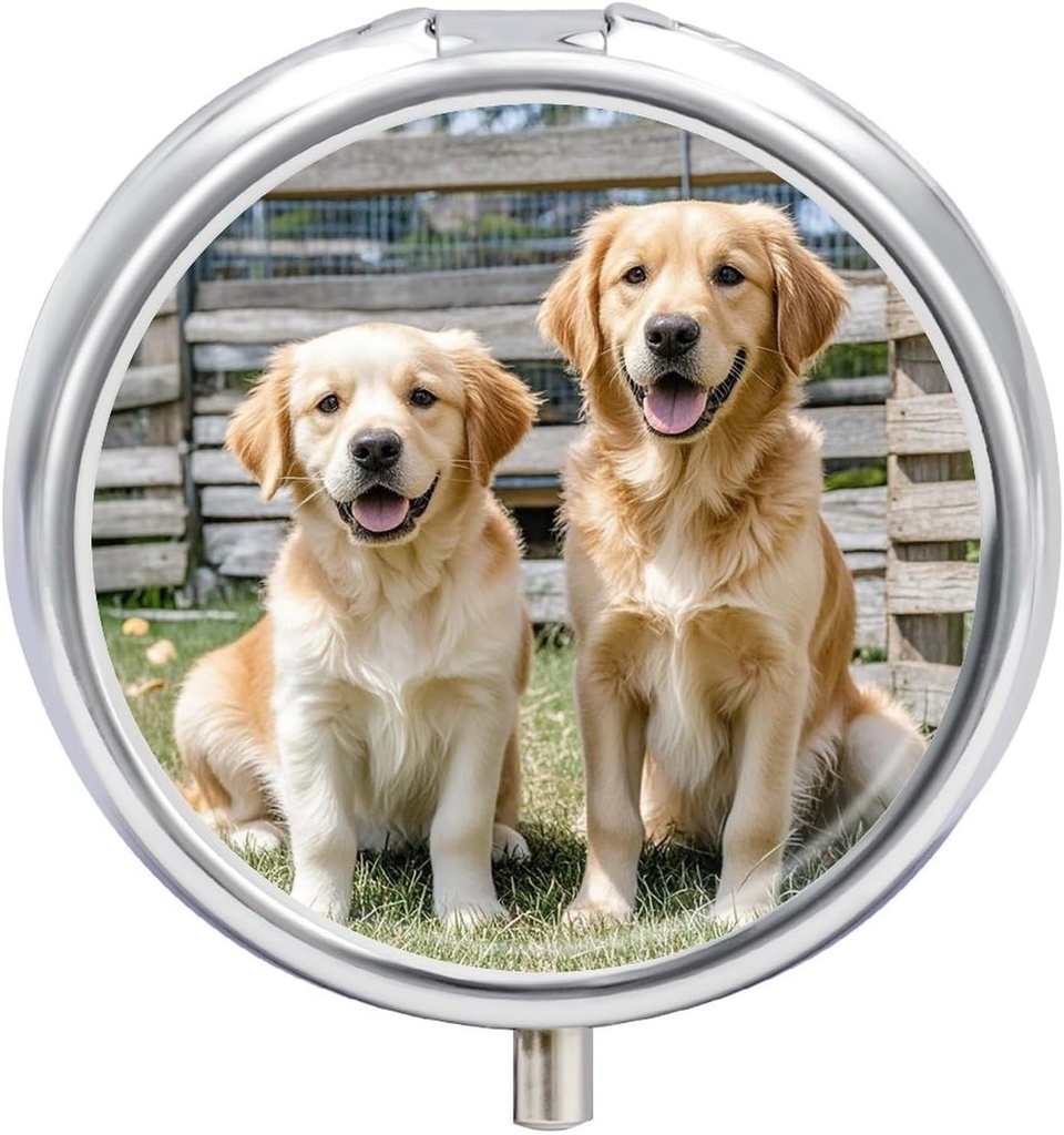 Round Pill Case 3 Segment Golden Retriever Hunde Hvalpe Pets Pill Box Mini Medicin Pill Arrangør Portable rejse Pilleboks til Pocket Purse Metal Pill Container til Vitamin Fish Oil Kosttilskud