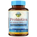 Terranics Probiotika 60 Millioner CFU, 20 Sprains, 60 Veg Kapsler, Prebiotika & Probiotika, Hylde Stabil Probiotika supplement til mænd og kvinder, fordøjelsessygdomme og immunforsvar, non-GMO, NO Soy, Dairy & Gluten