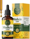 HERBAMAMA Mullein Drops til lunger - Vegan Lung Cleanse med Mullein Leaf Extract, Echinacea Tincture & Lakrids - Non- GMO, Alkohol & Sugar- Free Respiratory Support Supplement - 56- Day Supply