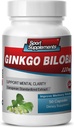 Hjerne Kosttilskud til hukommelse og fokus - Ginkgo BILOBA 120MG - Gingko biloba Plant, Focus Kosttilskud til voksne, Gingko biloba Kosttilskud, Ginko biloba piller Natural, Hukommelse supplement - 1B 60 Caps
