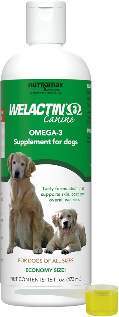 Nutramax Welactin Omega 3 Fish Oil for Dogs, Hud og Coat Health Supplement, Plus Joint, Immun, Nyre, og Brain Support, Premium Omega 3 Fedtsyrer, Til hunde af alle størrelser, 16 Ounce Liquid (3 Pk)