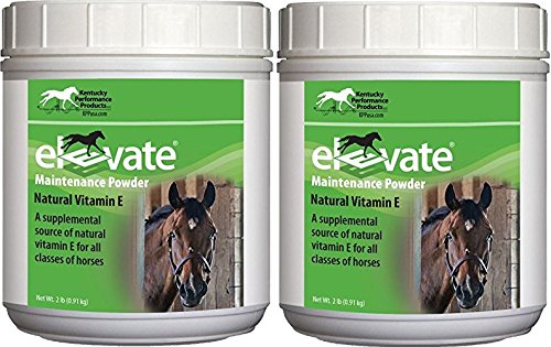 Kentucky Performance Products 2 Pakke med Elevate Maintenance Power, 2 Pounds each, Natural Vitamin E Horse Supplement