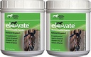 Kentucky Performance Products 2 Pakke med Elevate Maintenance Power, 2 Pounds each, Natural Vitamin E Horse Supplement
