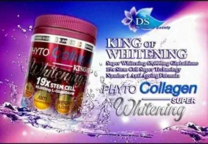 Phyto Collagen Whitening 19X STEM CELL Anti- Aging Pro Whitening Resultater Energi