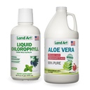 Land Art Aloe Vera Juice - Pomegranat Flavored - Cold Forarbejdede - Indre Filet fra økologiske friske blade - 64floz + flydende chlorophyll Mint Flavored - Cold Extracted from Wild Non- GMO Alfalfa - 16floz