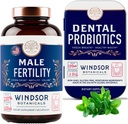 WINDSOR BOTANICALS Mand Fertilitet Supplement og tandprobiotika Sundhed og Wellness Bundle
