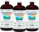 LIQUIDHealth Daily Multi Mineral Liquid Supplement med Fulvic Acid, Plant Based Ionic Aquamin Sea Sea Ocean Minerals - Immunsupport, Energy, Gut Health, Detox - Made in USA, Vegetar (3 Pack)