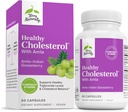 Terry naturligt sund cholesterol med Amla - Antioxidant supplement til immun- og hjertestøtte - supplement til støtte sund cholesterol & triglycerid - 60 kapsler
