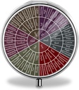 Hjul af følelser og følelser - 3-Segment Round Pill Organizer - Rustfrit stål - Portable & Compact - Ideel til små piller & vitaminer - Perfekt til rejser & daglig brug