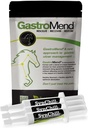 SynChill 3 Pack + GastroMend Bundle for Heste - Omfattende Mave Sundhed & Opførsel, Aids in Gastric Ulcer Relief, Promoes Calmness & Focus, All Natural, Cost Effektive