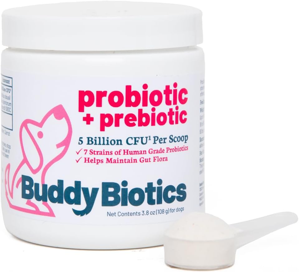 Buddy Biotics Probiotika + Prebiotic til hunde - Gut Flora Sundhed, fordøjelse og immunforsvar, Diarré og tarmstøtte - 5 milliarder CFU per Scoop