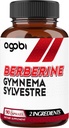 agobi Berberine Kosttilskud 500 mg med Gymnema Sylvestre - Super koncentreret formel for immunsystem, cirkulering sundhed, fordøjelse & energiproduktion - 90 kapsler