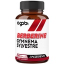 agobi Berberine Kosttilskud 500 mg med Gymnema Sylvestre - Super koncentreret formel for immunsystem, cirkulering sundhed, fordøjelse & energiproduktion - 90 kapsler