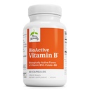 Terry naturligt BioActive Vitamin B - Aid Heart Health med Bioactive B Vitaminer - Supplement med Folate & Calcium - B Complex Vitamin til Aid Nervesystemet funktion - 60 kapsler