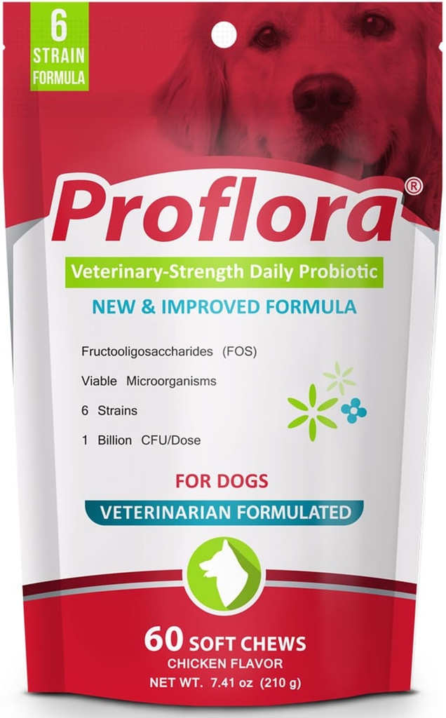 Probiotika til Dogs- Complete Gut Health & Immunsupport. Let at bruge fordøjelsesmiddel Multi- Strain Probiotika. Nemmere kost Forandringer, sundere hud & Coat & hjælper behandler Diarré. 60 bløde tykkelser