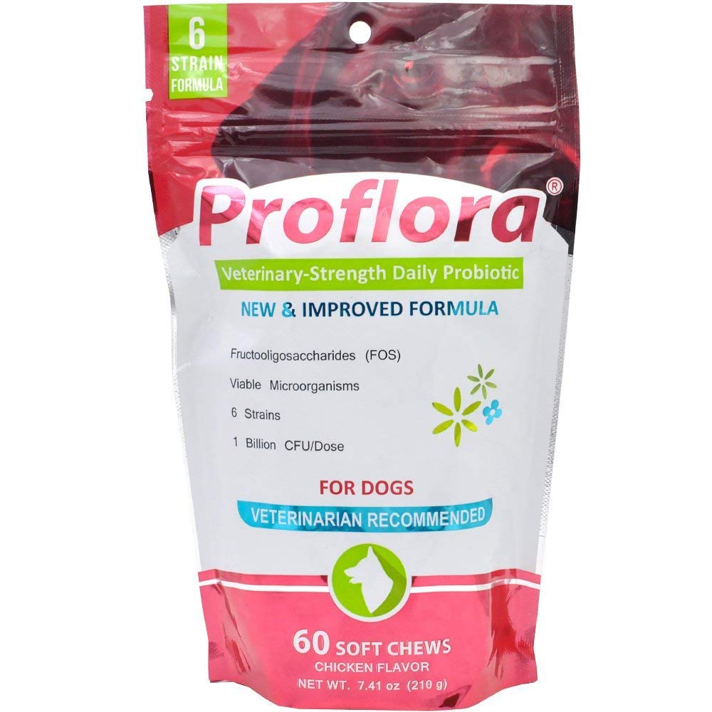 Probiotika til Dogs- Complete Gut Health & Immunsupport. Let at bruge fordøjelsesmiddel Multi- Strain Probiotika. Nemmere kost Forandringer, sundere hud & Coat & hjælper behandler Diarré. 60 bløde tykkelser