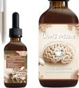 Lions Mane Tinktur - Organic Brain & Focus Support - Ultra-Potent Alkohol- Based Liquid Mushroom Extract - 2 oz
