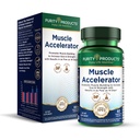 Renhed Produkter Muskelaccelerator 650 mg Patenteret & klinisk testet Muskelaccelerator Blend af Ayurvedic Herbal Ekstrakter fremmer Styrke, Endurance + Muskelvækst - 60 Veg Caps