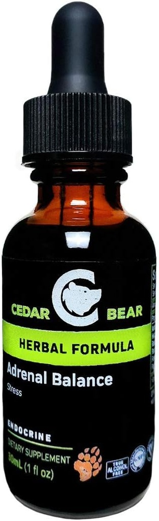 Cedar Bear Adrenal Balance - flydende urte supplement med adaptogener, der kæmper Træthed, Administrer stress og øge energi 1 fl oz / 30 ml