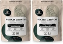 Jungle Powders Fadogia Agrestis Powder for Men 50:1 313 Servings, Black Ant Extract 30:1 94 Servings 5oz, Traditional Mens Health Support for Drive & Passion