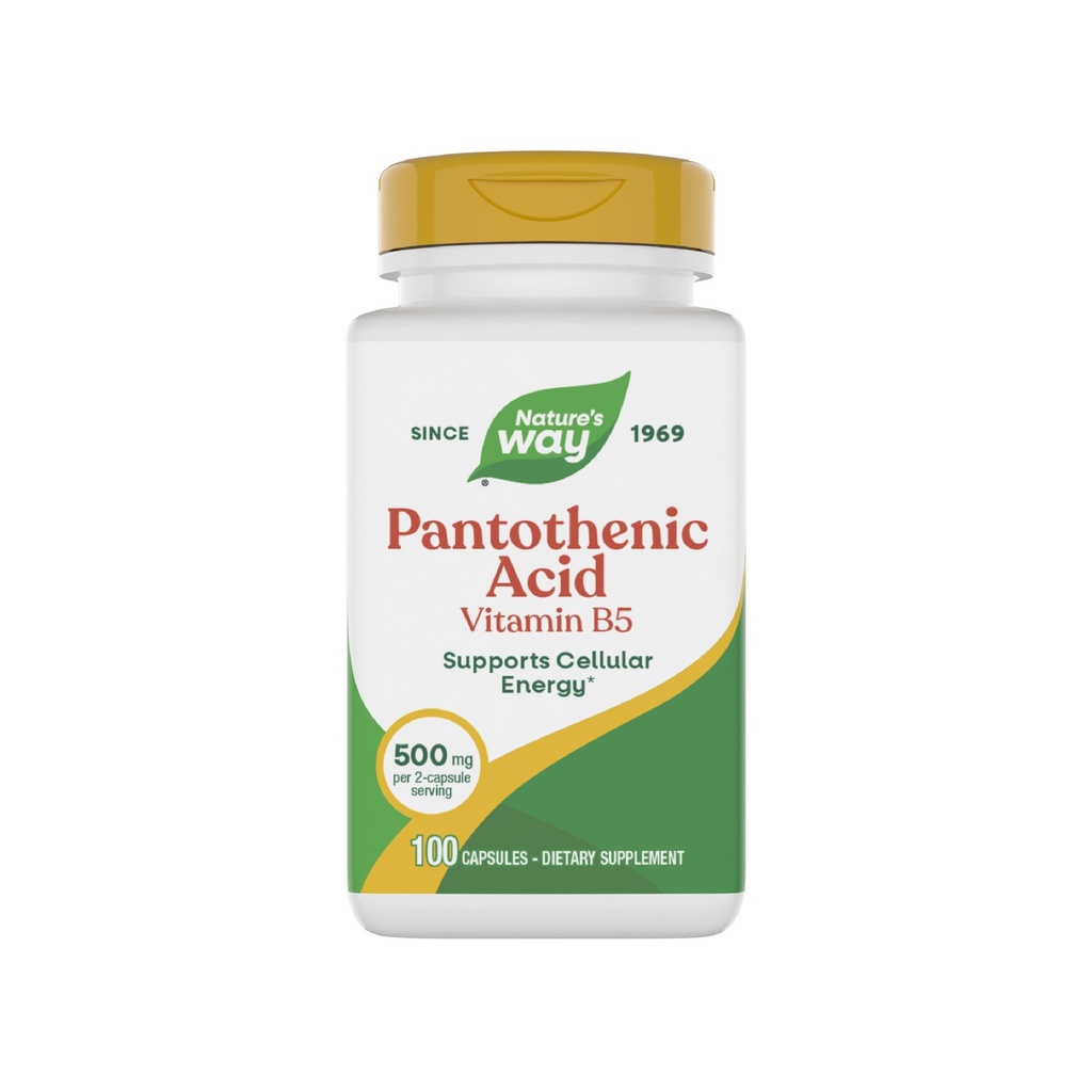 Naturens vej Pantothensyre, understøtter cellulær energi *, 500mg Per Servering, 100 kapsler