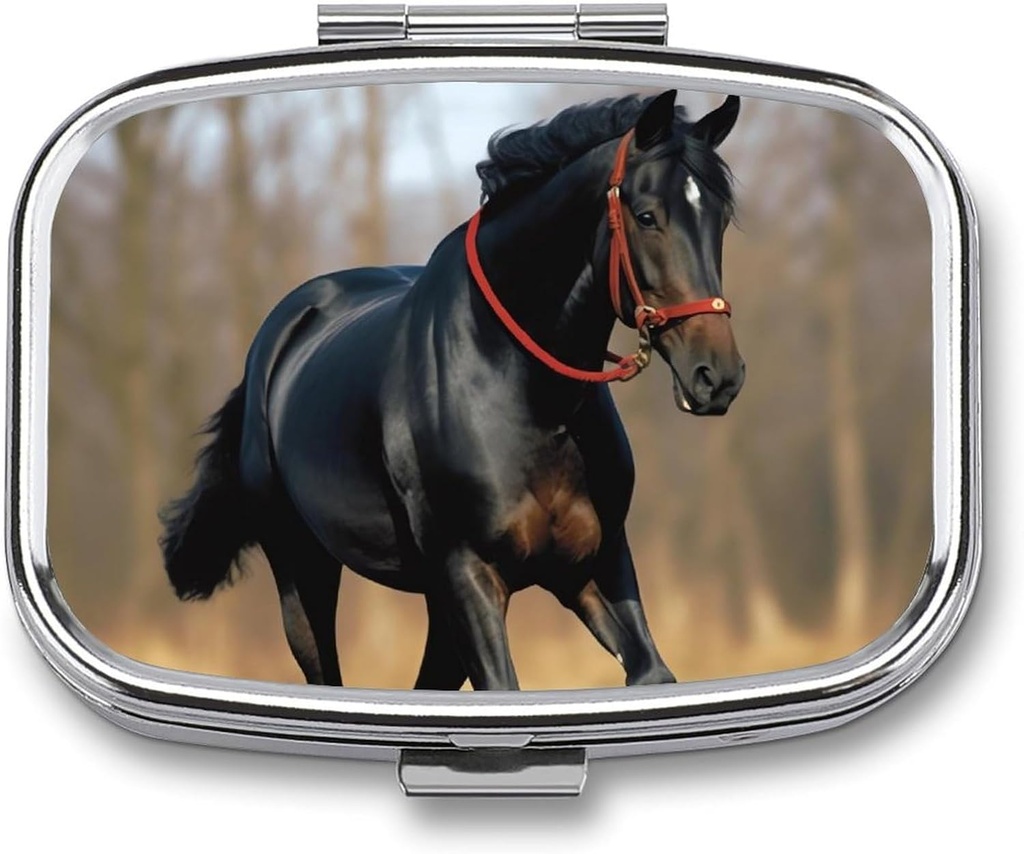 Pill Box Bærbar Pill sag for Pocket Horse på græsplæne rejse lille pill Organizer 2 Segment Metal Pill Container Holder for Medicine Vitaminer Fish Oil Kosttilskud