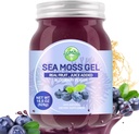 Sea Moss Gel, 18.5OZ Raw Flavored Irish Seamoss Gel immun og fordøjelsesstøtte Vitamin Mineral Kosttilskud, Blåbær