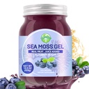 Sea Moss Gel, 18.5OZ Raw Flavored Irish Seamoss Gel immun og fordøjelsesstøtte Vitamin Mineral Kosttilskud, Blåbær