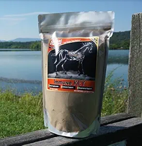 Immunnøgle - 1,25 lb. - Alle naturlige, GMO- fri, Bygger stærk immunsystem