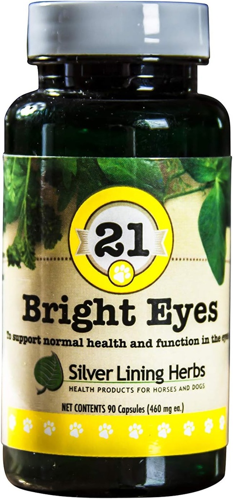 Sølv Lining Herbs 21 Bright Eyes - Understøtter hund øje sundhed - vedligeholder normale Mineral Niveauer for hunds øjne - Naturlige urter støtte lang sigt kanine øje sundhed - 90 kapsler