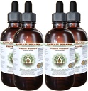 Hawaii Pharm White Willow Alkohol- Free Liquid Extract, Organic White Willow (Salix Alba) Tørret Bark Glycerite Natural Herbal Supplement, USA 4x4 fl.oz