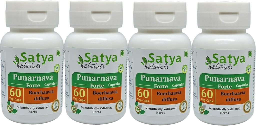 Punarnava Forte Capsules 500 mg. 60 Veg. Capsule Measures 124; Punarnava (Boerhaavia Diffusa) Uddrag Kapsler til mænd og kvinder Measures 124; Ayurvedic Herbal Supplement / Remedies Measures 124; 10: 1 Forte (4 flasker med 60 Kapsler)