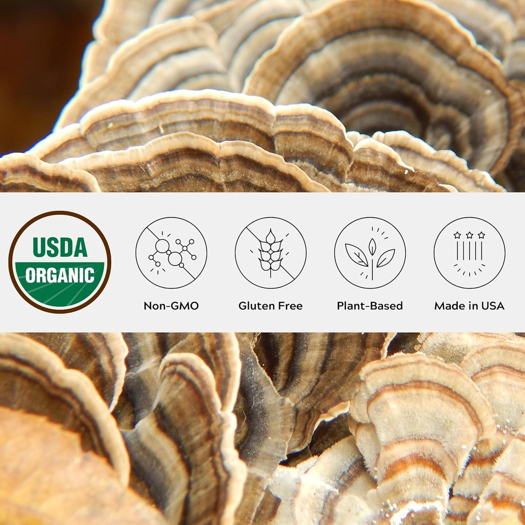 Organic Turkey Tail Mushroom Powder, Single Estate, Non-GMO - Gut, Energy, Brain, & Immune Support - Vegan Mushroom Supplement in a Resealable Glass Jar