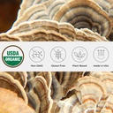 Økologisk Tyrkiet Tail Mushroom Powder, Single Estate, Non- GMO - Gut, energi, hjerne, & immunforsvar - Vegansk Mushroom supplement i en resealable glas krukke