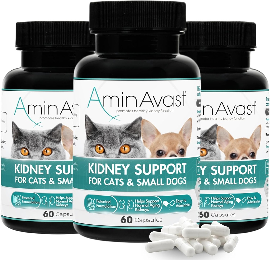 AminAextent Nyre Support for Cats and Small Dogs, 300mg 3- Pack - fremmer naturlige Nyre funktion - Aids in Health and Vitality of Aging Nyrer - Nemt administreret - 60 sprinkle kapsler