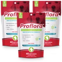 Proflora Probiotic Soft Chews for Dogs - Veterinary- Strength Daily Probiotic - fordøjelsessundhed - Boost immunsystem - Hud og Coat Sundhed - 180 Soft Chews