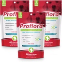 Proflora Probiotic Soft Chews for Dogs - Veterinary- Strength Daily Probiotic - fordøjelsessundhed - Boost immunsystem - Hud og Coat Sundhed - 180 Soft Chews