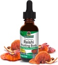 Naturens svar Alkohol- Free Reishi Extract Fruiting Body, 1- Fluid Ounce Liquid Extract Immunsystem Builder