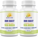 Vores Daily Vites Sea Moss Capsules 1500mg (2 Pack) - Vildlavede Irske Hav Moss Bladerwrack og Burdock Root Superfood Blend - immunsystem, Gut Health & Thyroid Support - 240 Vegetariske kapsler