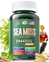 Sea Moss 12000mg Black Seed Oil 6000mg Ashwagandha 3000mg Gurkemeje 1000mg Bladerwrack 2000mg Burdock 3000mg & vitamin C & D3 med Elderberry Manuka Mælelion Gul Dock Jod Chlorophyll ACV