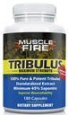 Urte Nutrition Tribulus Terrestris, Bulgarsk, 1500mg 45% Saponiner, Lecithin for bedre opdatering, 180 kapsler, en flaske...