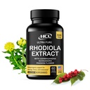 Rhodiola Rosea Supplement High Potency Extract 500mg - 3% Rosavins 1% Salidrosider med Ashwagandha Shisandra Passion Flower Herb Powder Kapsler - Natural Way to Relieve Stress - piller til energi