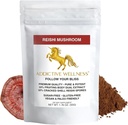 Addictive Wellness Reishi Mushroom Extract Powder + Sporer (50 / 50 Blend) Træ dyrket Pure & Potent Wildcrafted Ganoderma 50g (1,76 oz)