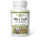 HerbalFactors by Natural Factors, Olive Leaf 500 mg, Natural Wellness Formel, 90 Kapsler