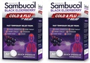 Sambucol Cold and Flu Relief Tablets - Homøopatisk Cold Medicine, Nasal & Sinus Congestion Relief, Anvendelse til Runny Næse, Hoste, Cold Remedy til voksne - Black Elderberry, 30 Greve, 2 -Pack