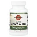 Mushroom Visdom Super Extract, Lions Mane, 120 Greve